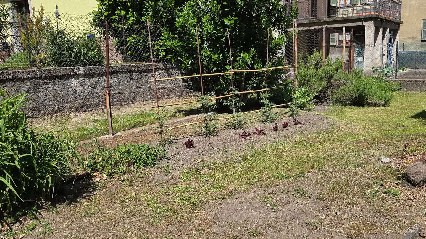 Mehrfamilienhaus kaufen - Via Stefano Franscini, 6743 Bodio TI - Foto 2