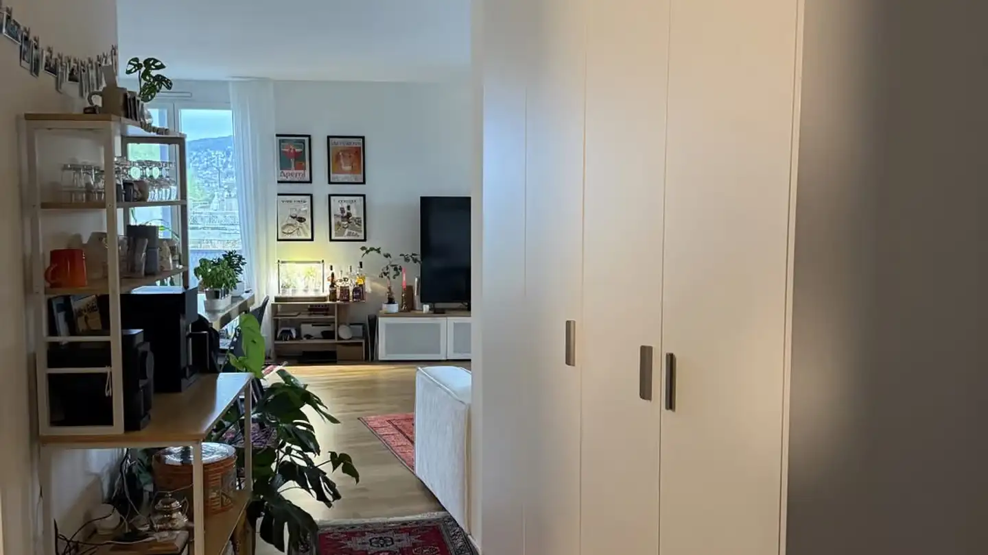 Wohnung mieten - Austrasse 54, 8045 Zürich - Foto 4