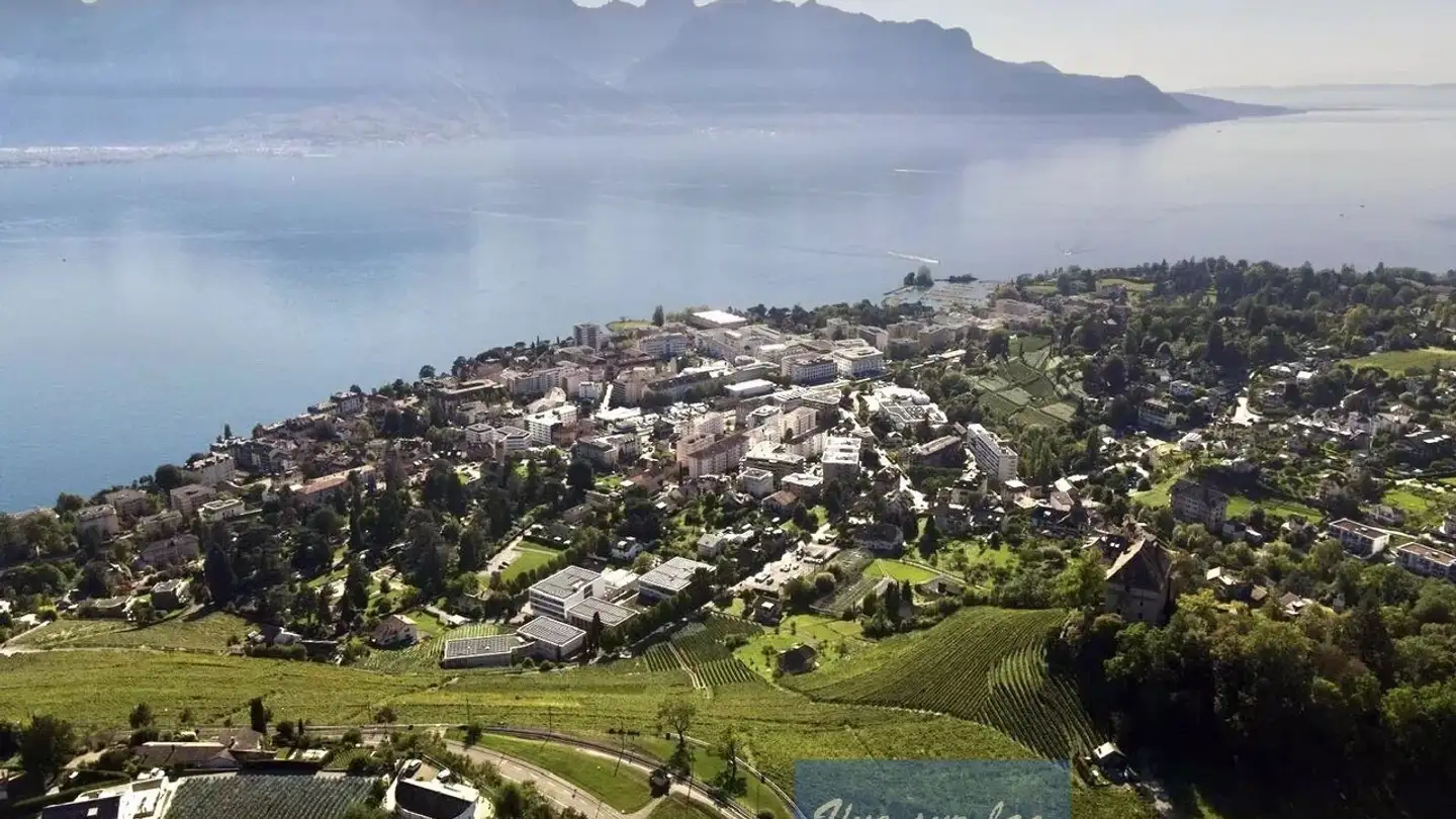 Maison individuelle à vendre - 1822 Chernex - Photo 2