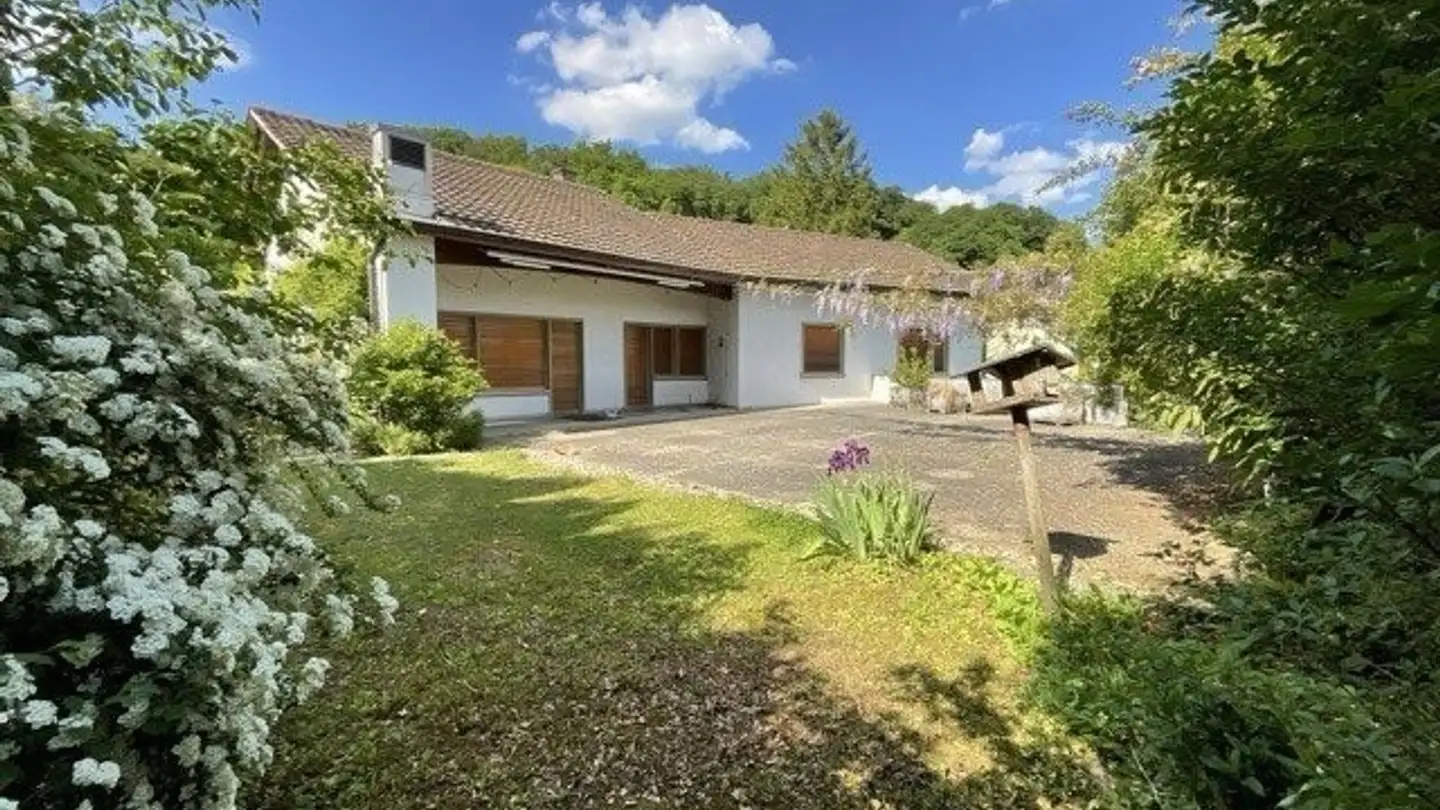 Single house for rent - 4600 Olten - Photo 2