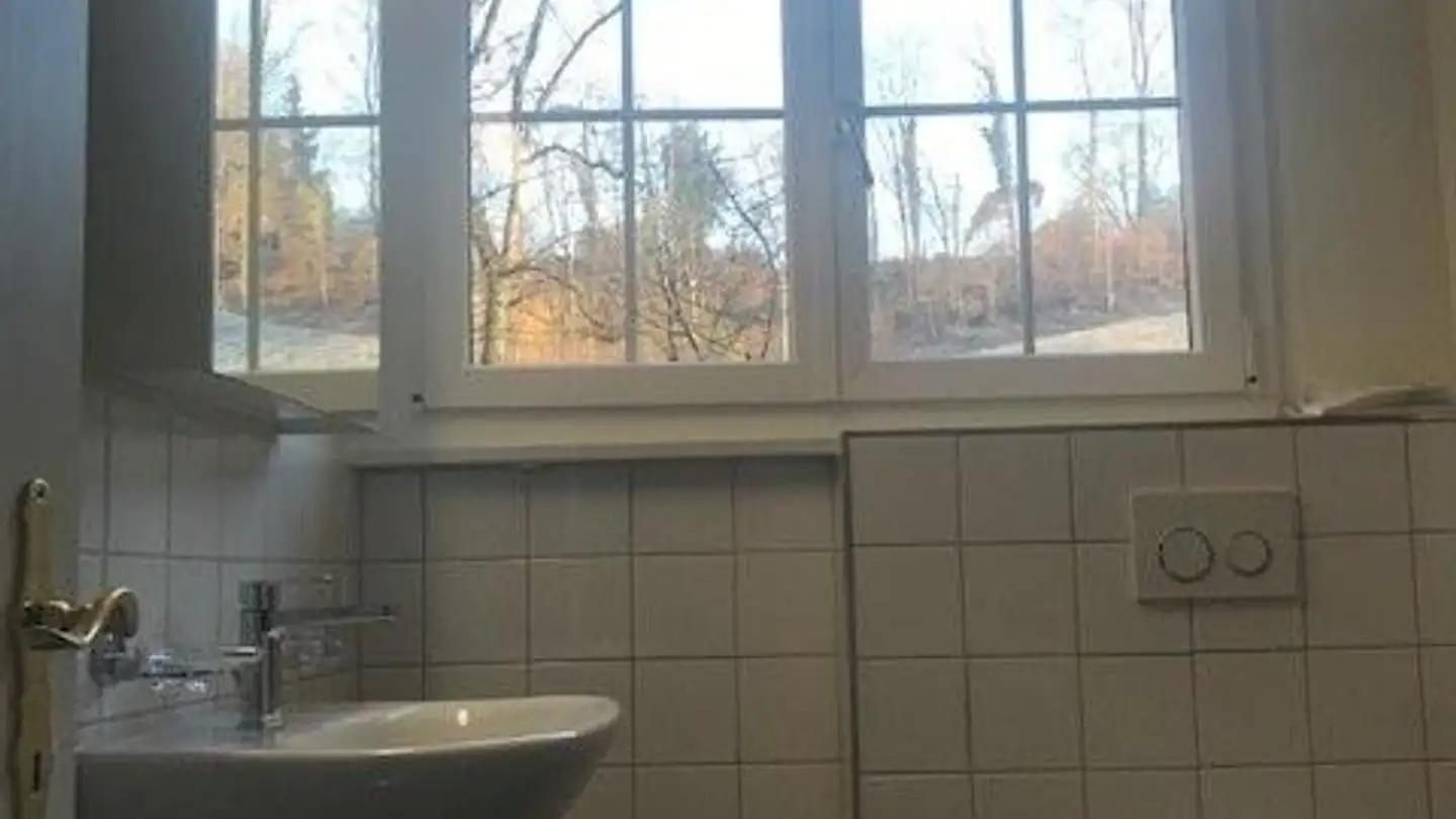 Appartamento in affitto - Trichtenhauser Strasse 59, 8125 Zollikerberg - Foto 4