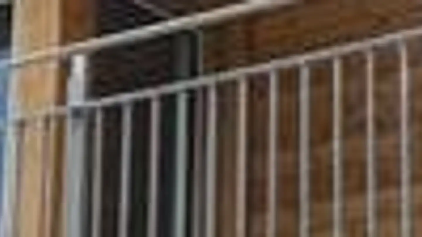 Duplex à louer - Bachgasse 6, 3632 Oberstocken - Photo 3