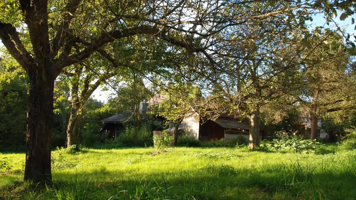 Chambre à louer - 3476 Oschwand