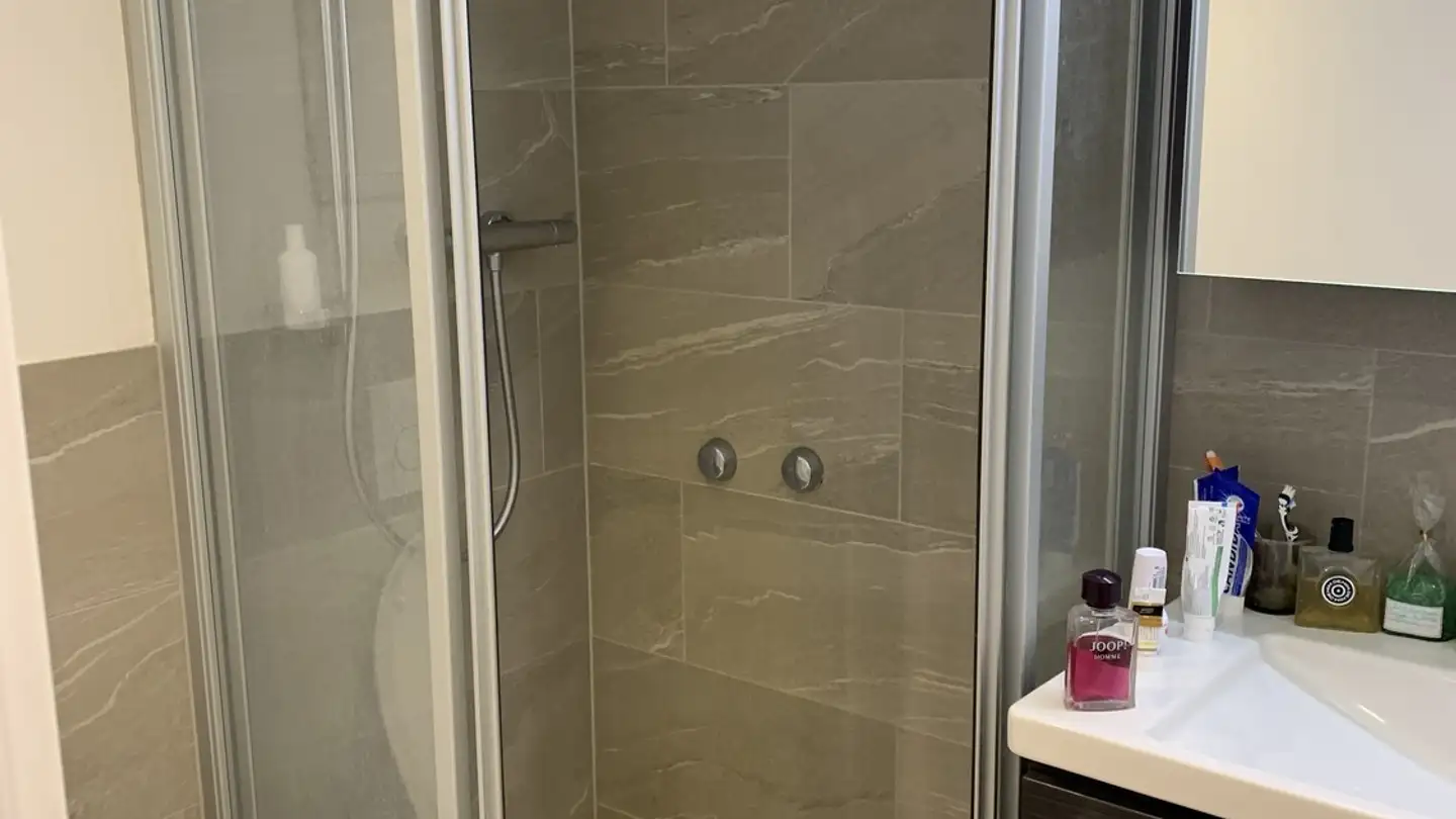 Chambre à louer - Freiestrasse 45, 8952 Schlieren - Photo 3