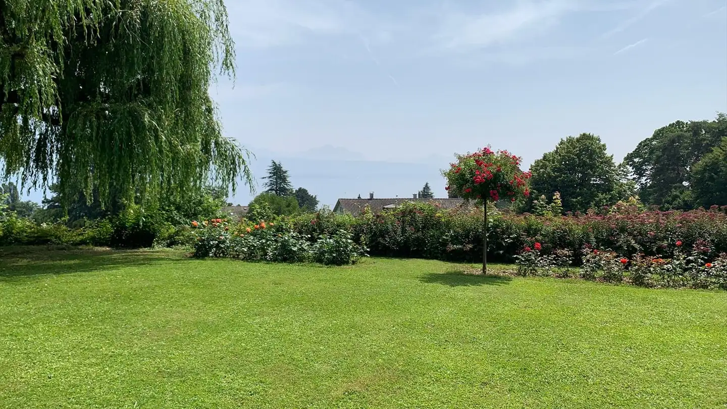 Villa in affitto - Chemin De La Grangette 25, 1094 Paudex - Photo 3