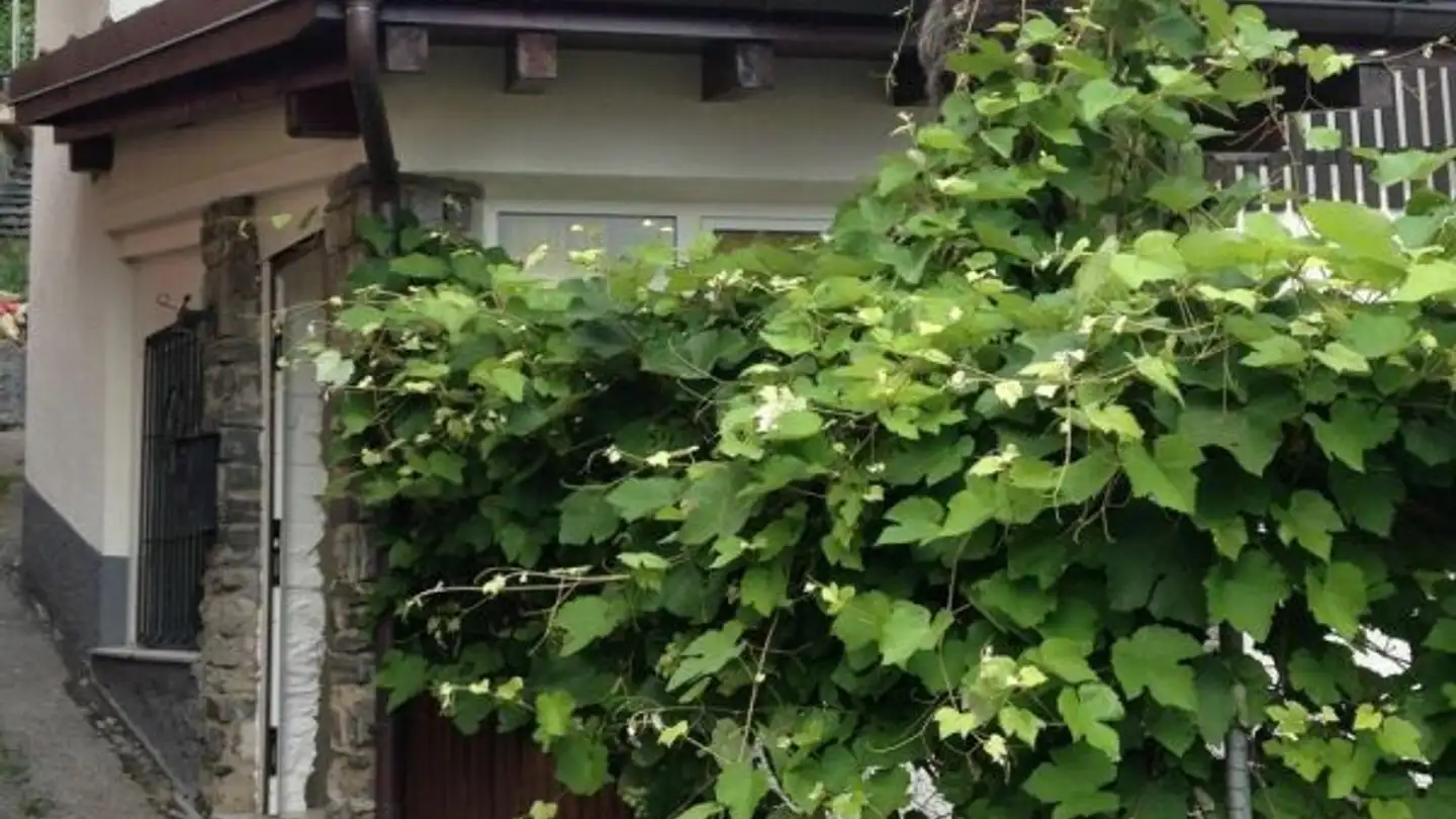 Single house for sale - Vicolo Torre, 6982 Agno