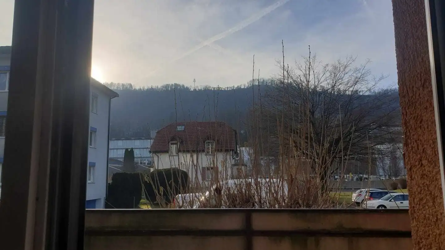 Stanza singola in affitto - Austrasse 32, 8134 Adliswil - Foto 3