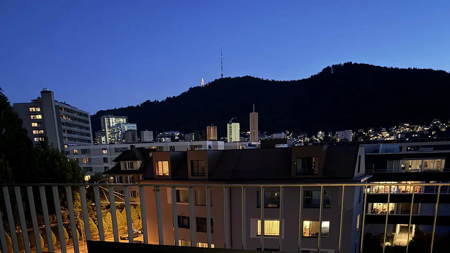 Attique à louer - Letzigraben, 8047 Zürich - Photo 3