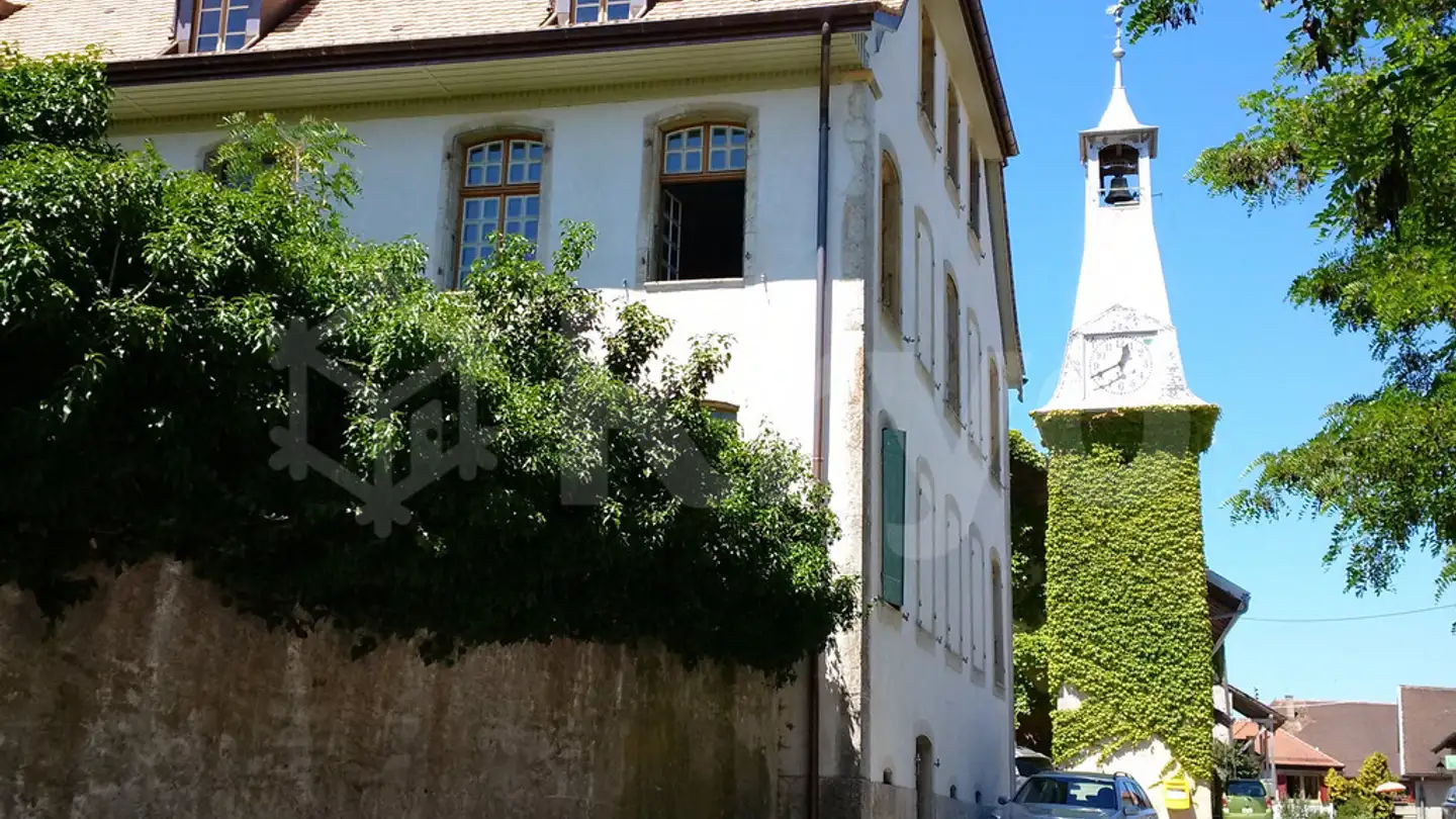 Loft in affitto - Rue Du Vignoble 18, 1321 Arnex-sur-Orbe