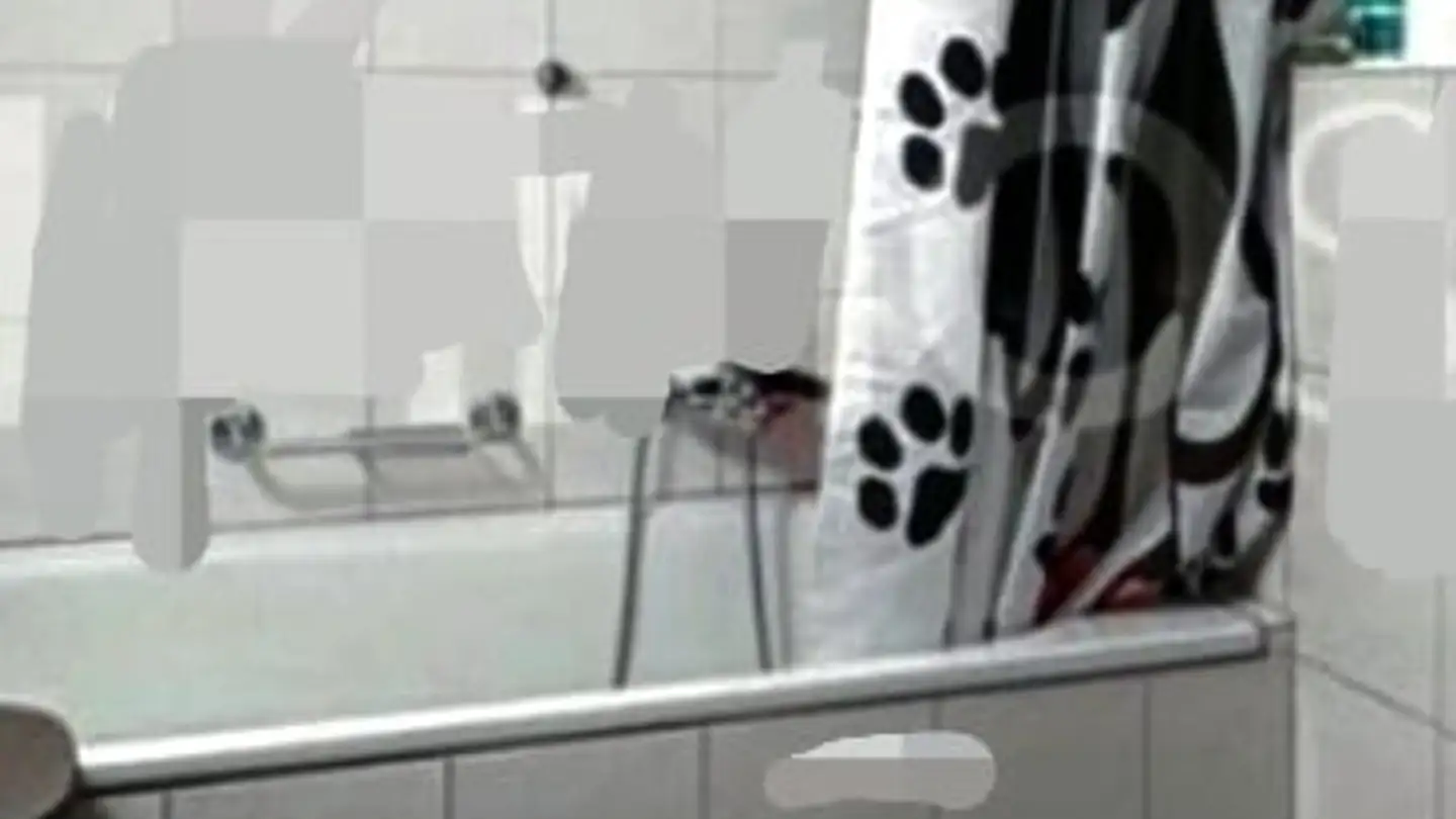 Appartamento in vendita - Morcles, 1892 Morcles - Photo 4