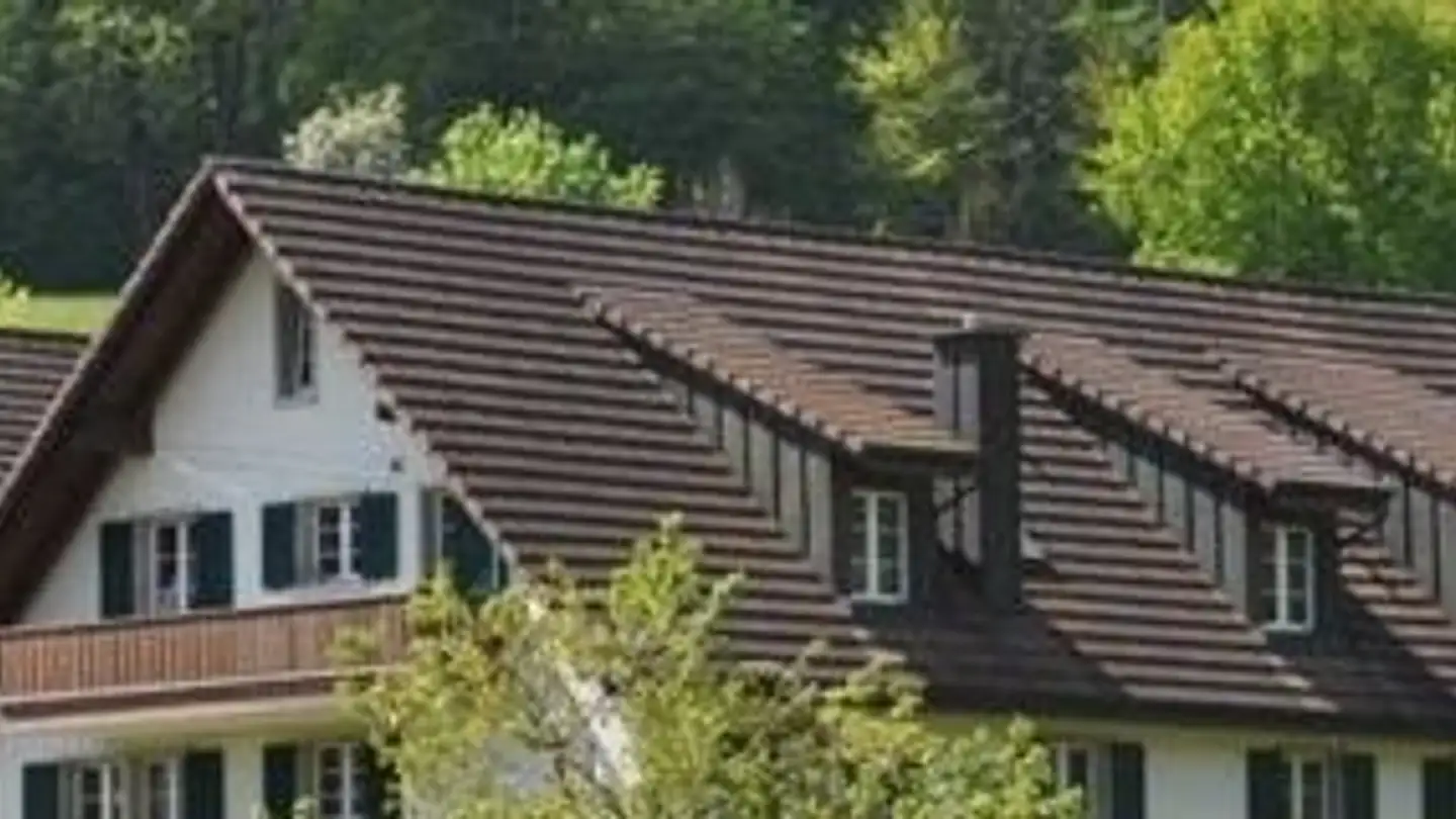 Attic flat for rent - Lenzburgerstrasse 16, 5600 Ammerswil AG