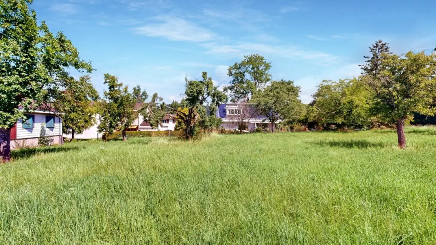 Einfamilienhaus kaufen - Friedhofstrasse, 4303 Kaiseraugst - Foto 3