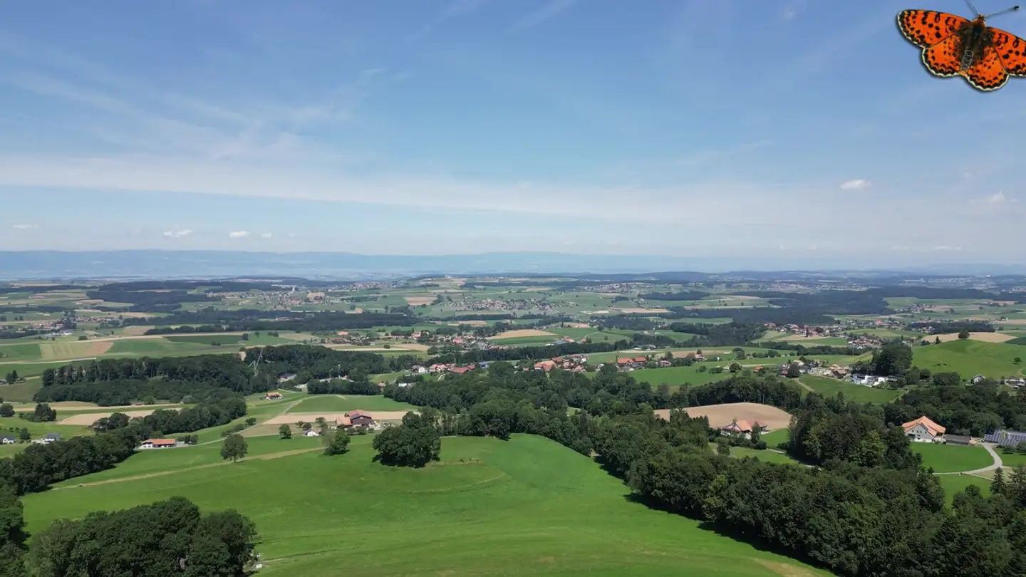 Casa singola in vendita - Route Du Gibloux 126, 1694 Villarsiviriaux - Photo 3