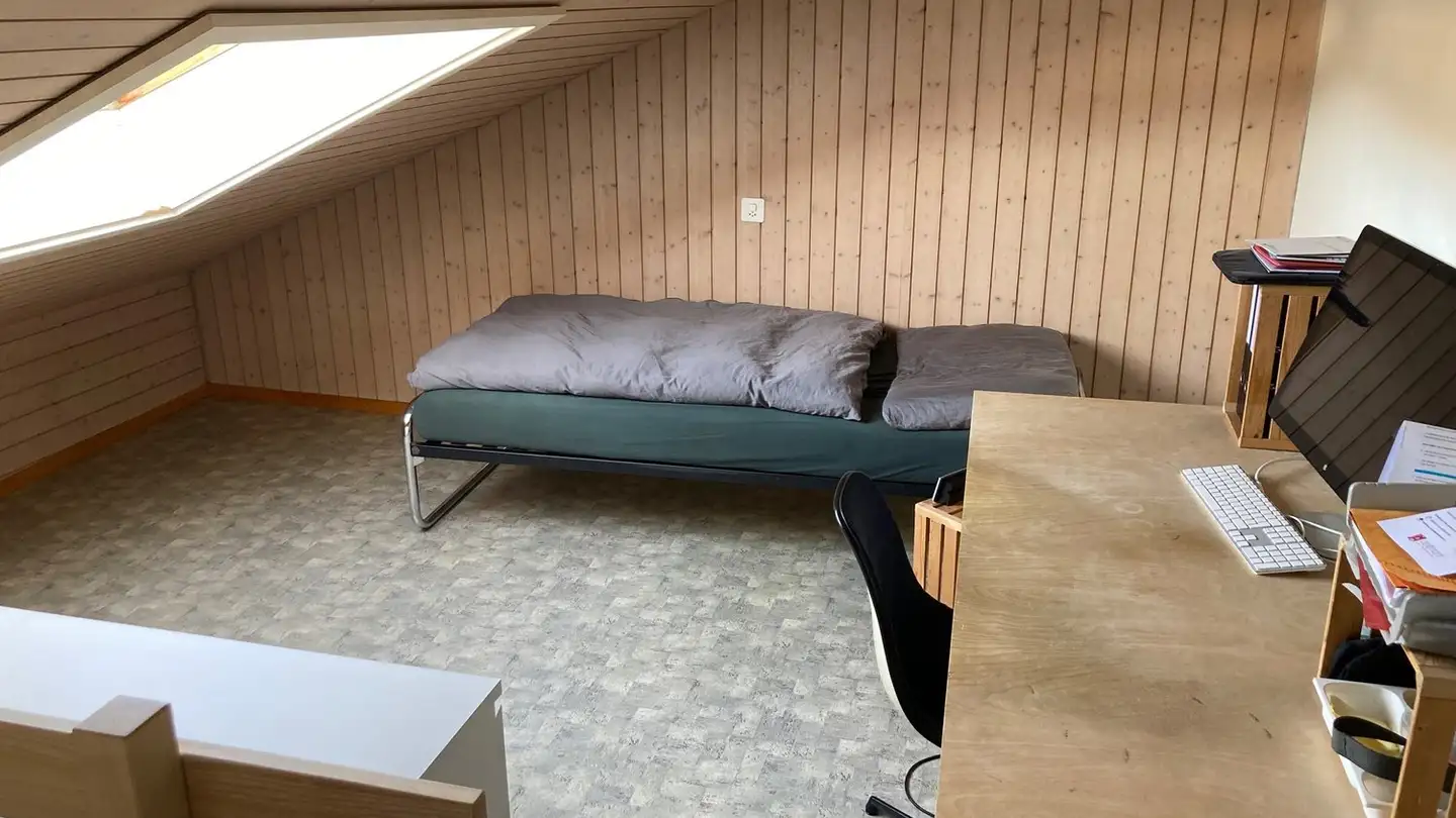 Appartamento in affitto - Rue de la Maltière, 2800 Delémont - Photo 3