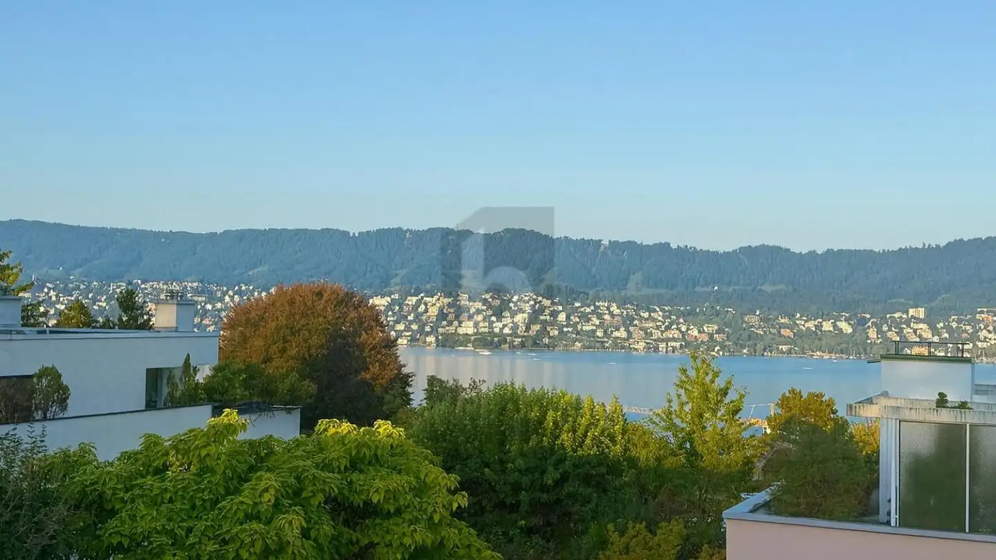 Furnished apartment for rent - 8702 Zollikon