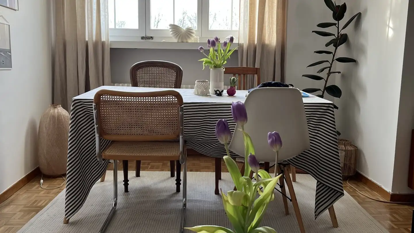 Apartment for rent - 8706 Meilen