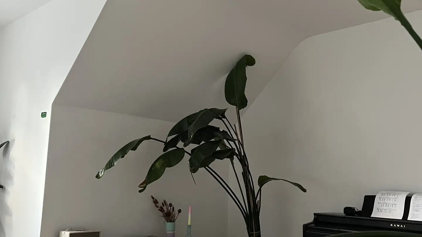 Apartment for rent - 8706 Meilen - Photo 2