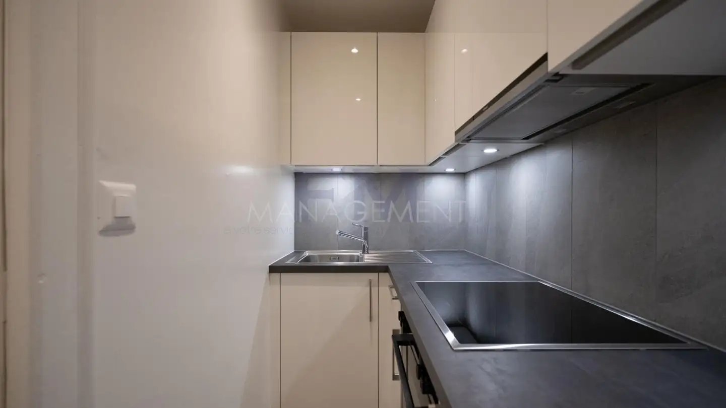 Apartment for rent - Rue Des Glacis-De-Rive, 1207 Genève