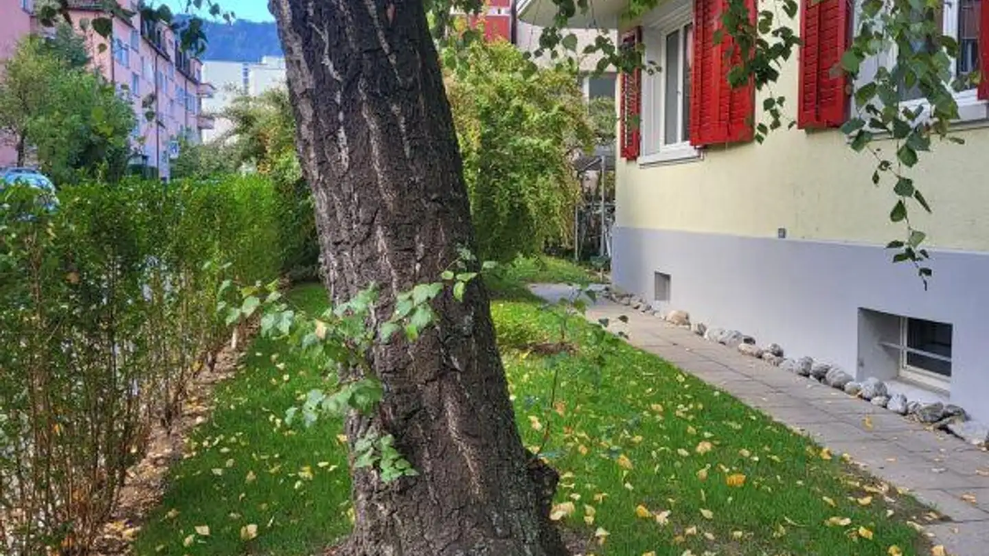 Apartment for rent - Riedmattstrasse 4, 8055 Zürich - Photo 2