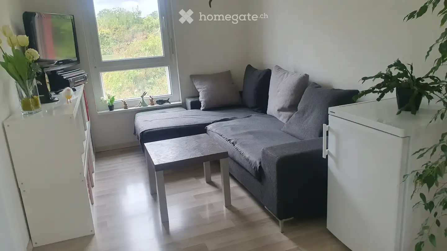 Single room for rent - Chemin Des Vignes 26, 1350 Orbe