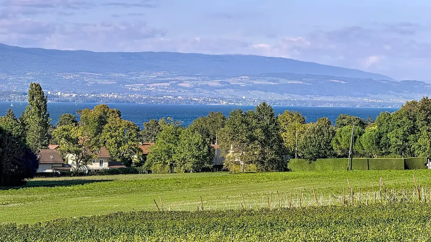 Single house for sale - 1245 Collonge-Bellerive