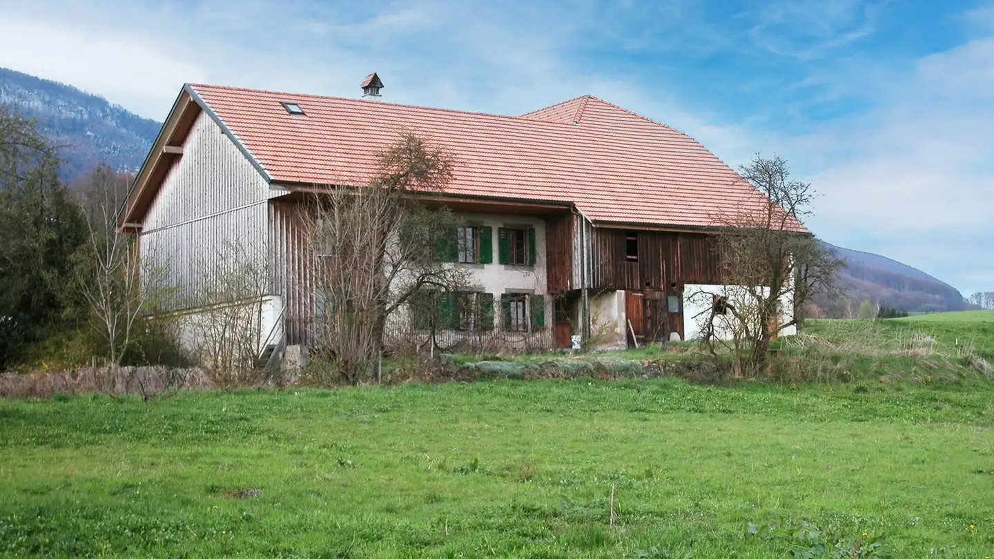 Ferme à vendre - Gerzmattstrasse 16, 4537 Wiedlisbach - Photo 2