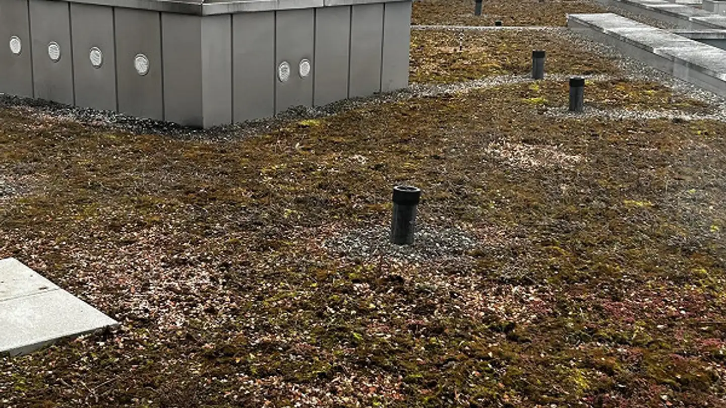 Penthouse mieten - Ammerswilerstrasse 35d, 5600 Lenzburg - Foto 3