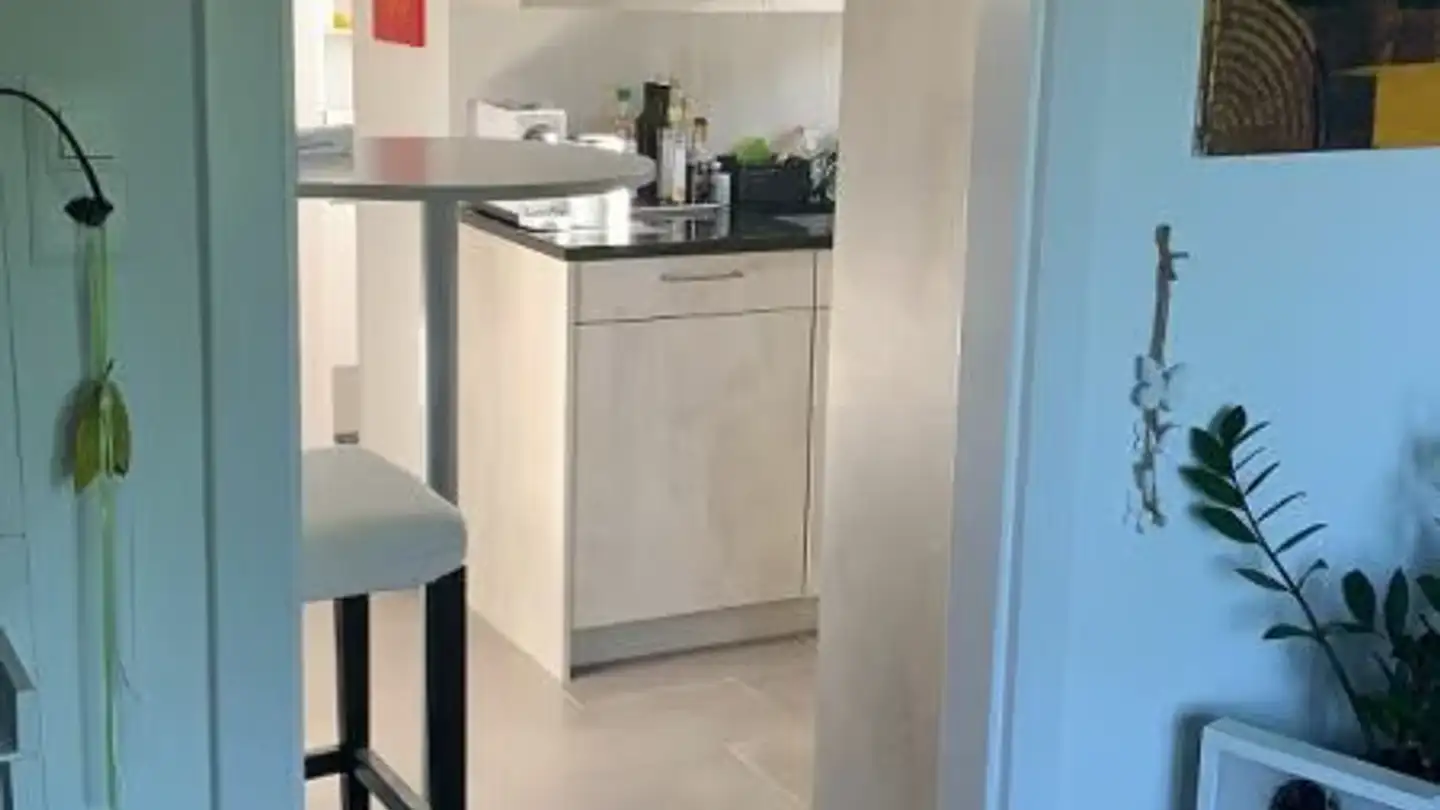 Dachgeschosswohnung mieten - Haldenstrasse 15, 9548 Matzingen - Foto 3