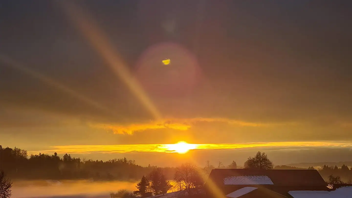 Maison individuelle à vendre - 8915 Hausen am Albis - Photo 4