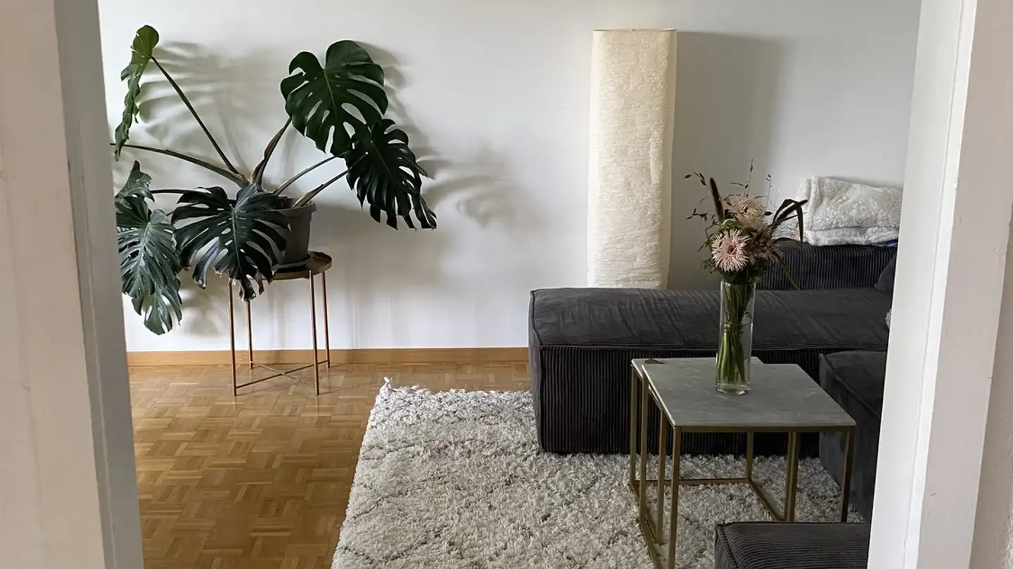 Wohnung mieten - 5000 Aarau