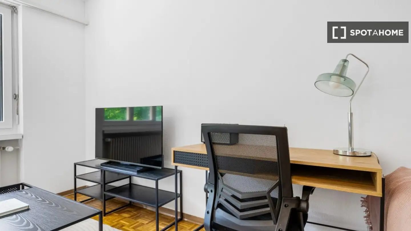 Studio in affitto - 8046 Zürich - Photo 3