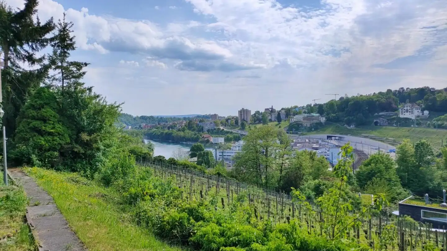 Villa à vendre - 8200 Schaffhausen