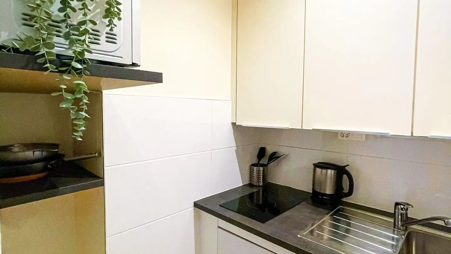 Appartamento in affitto - Rue De-Monthoux, 1201 Genève - Foto 4