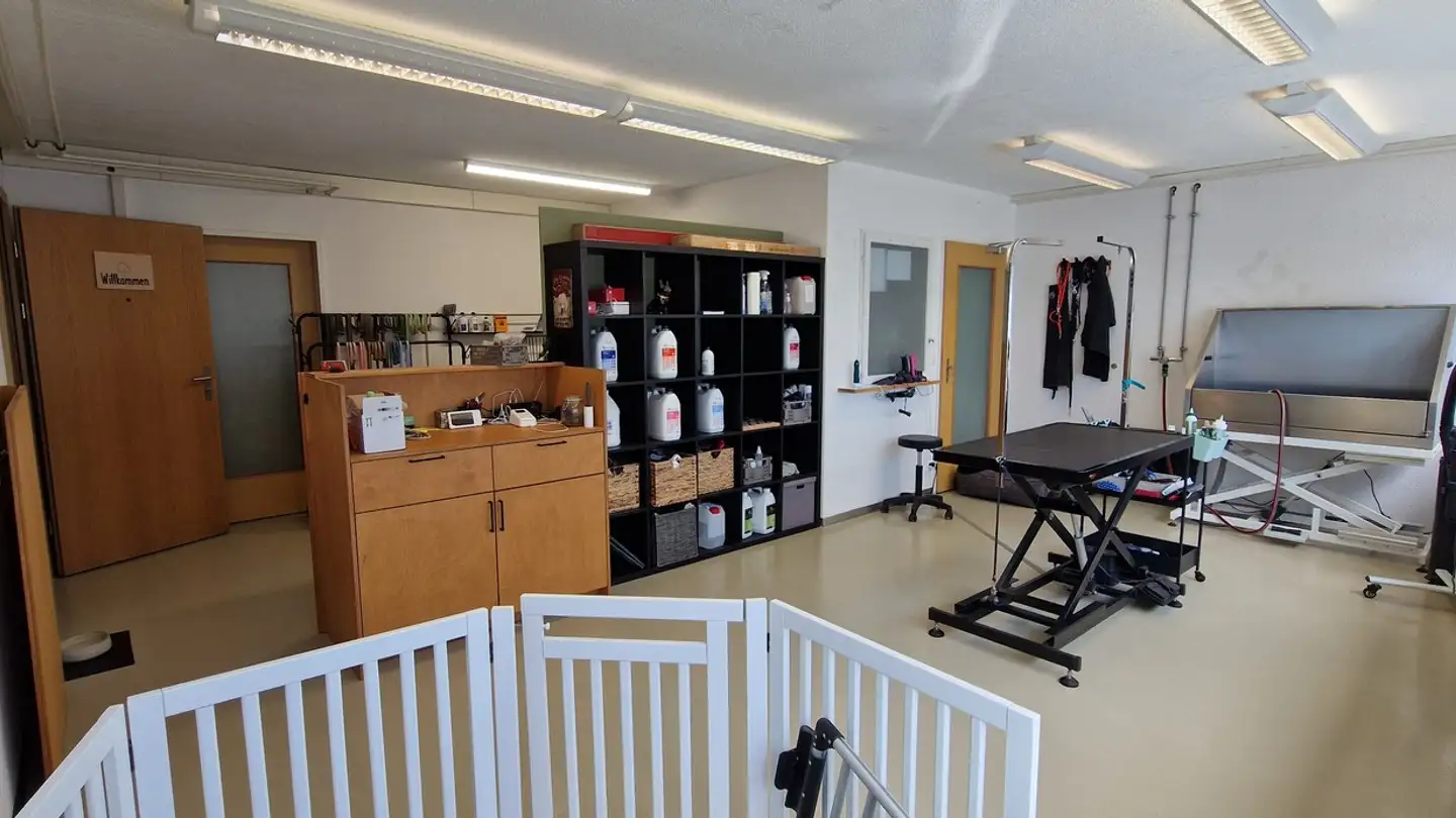 Commercial for rent - Wassergrabe 4, 6210 Sursee