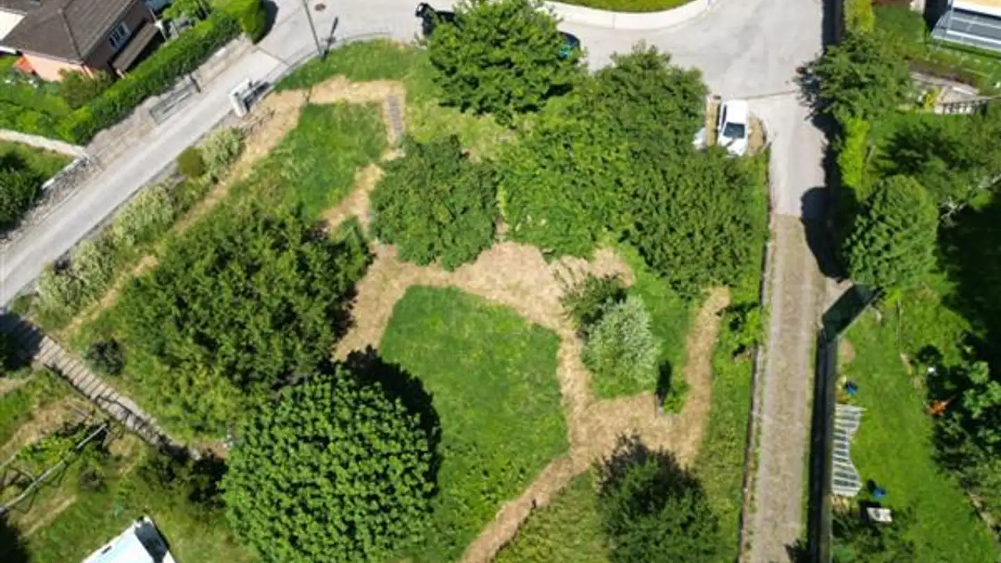 Constructible plot for sale - 6912 Pazzallo - Photo 3