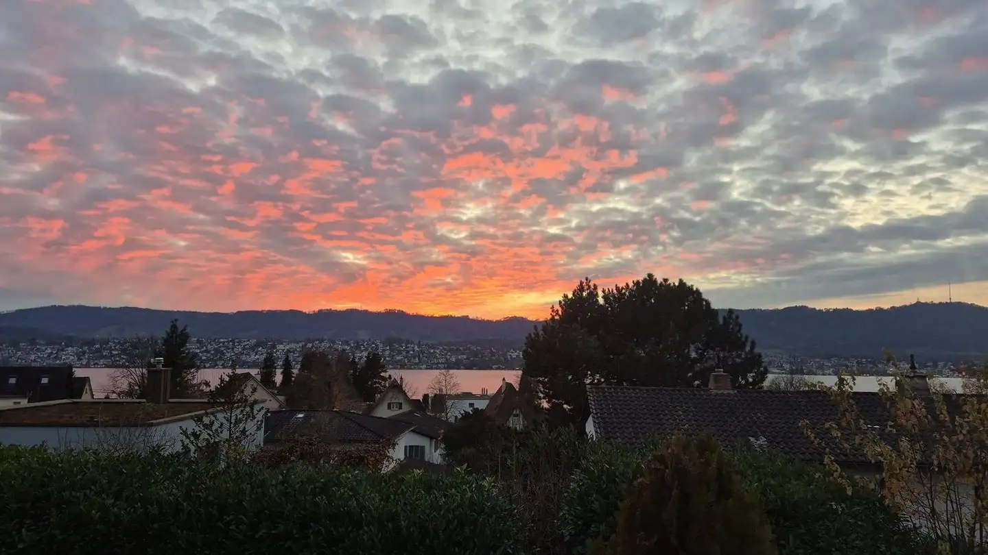 Appartamento in affitto - Rütistrasse 14, 8702 Zollikon - Foto 4