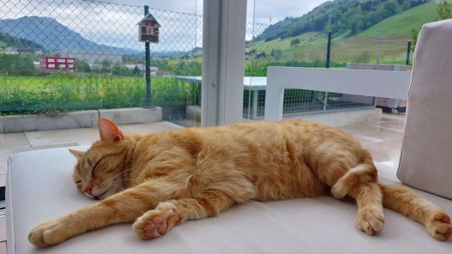 Wohnung mieten - Underchile 37, 6166 Hasle LU - Foto 3