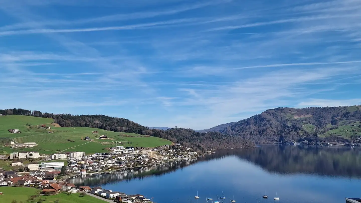 Appartamento in vendita - Ribetschiweg 8, 6405 Immensee