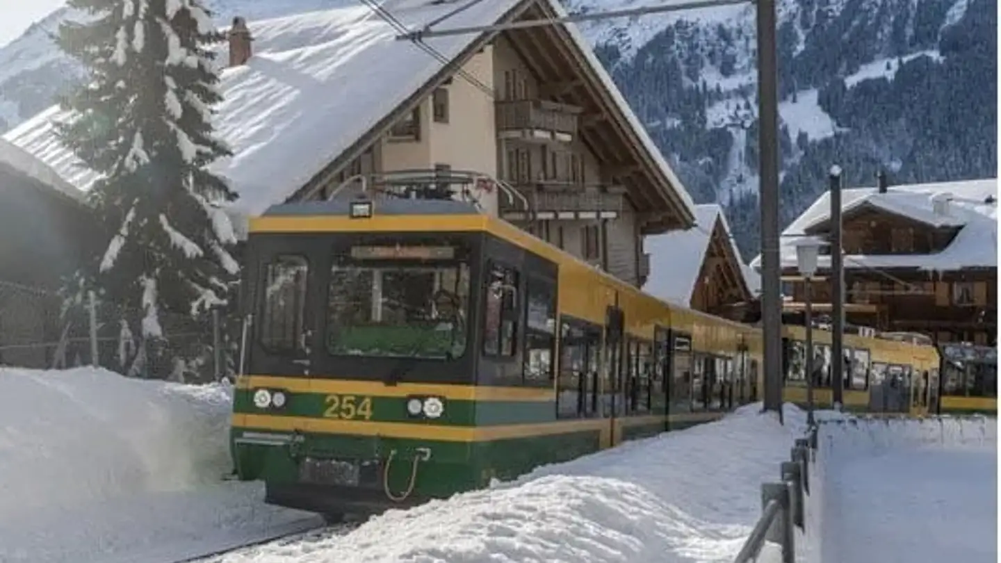 Constructible plot for sale - 3823 Wengen - Photo 2