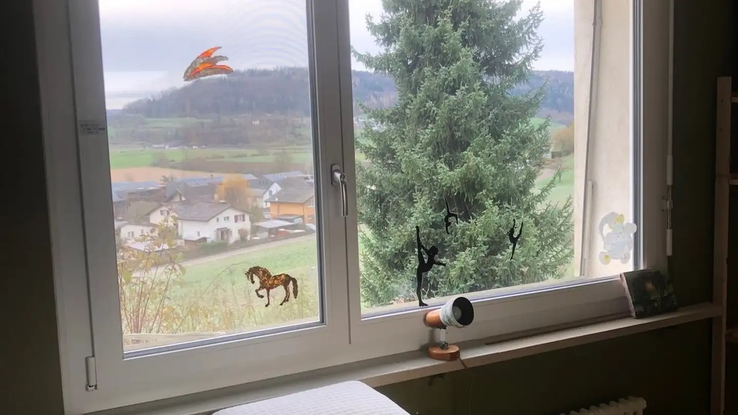 Stanza singola in affitto - Ampfleteweg 10, 5234 Villigen - Photo 2