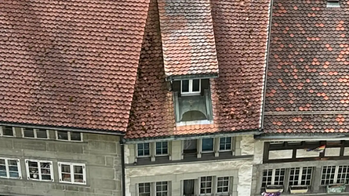 Duplex à louer - Rue la Grand-Fontaine, 1700 Fribourg - Photo 3