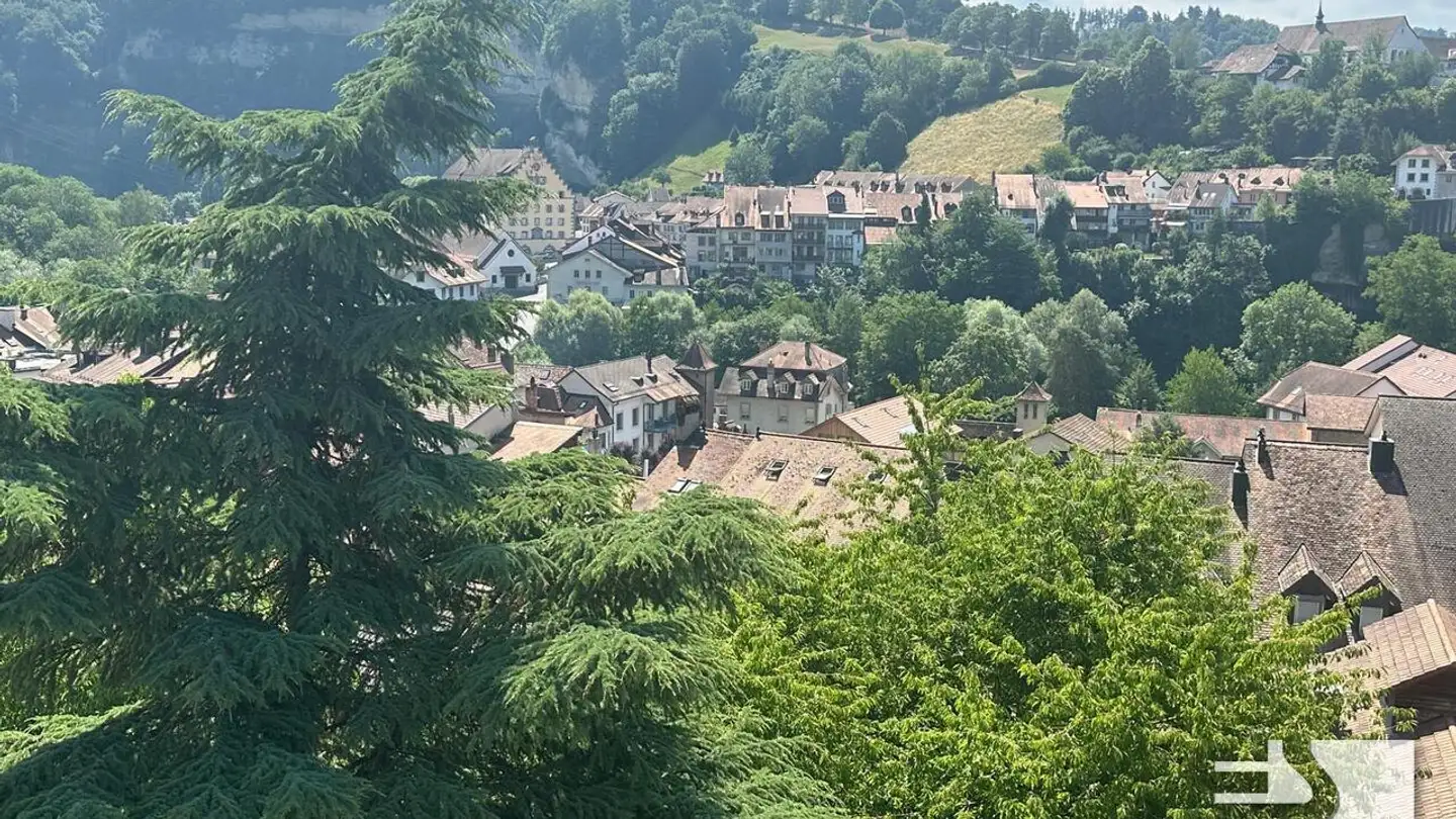 Duplex à louer - Rue la Grand-Fontaine, 1700 Fribourg - Photo 4