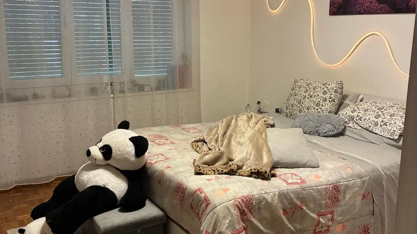 Appartamento in affitto - Via Franco Zorzi 24, 6900 Paradiso - Foto 2