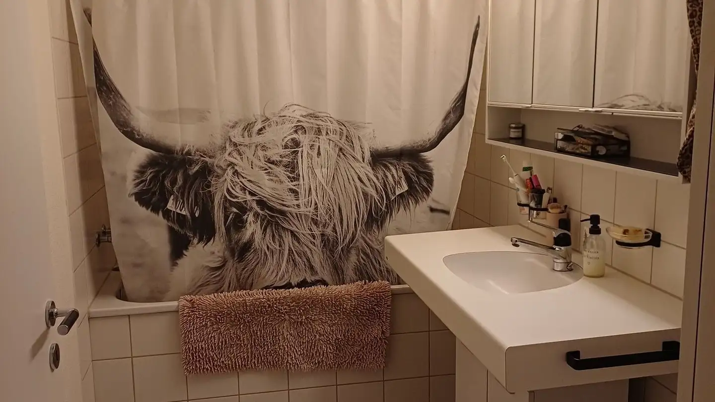 Appartamento in affitto - Dorf 41, 4933 Rütschelen - Photo 3