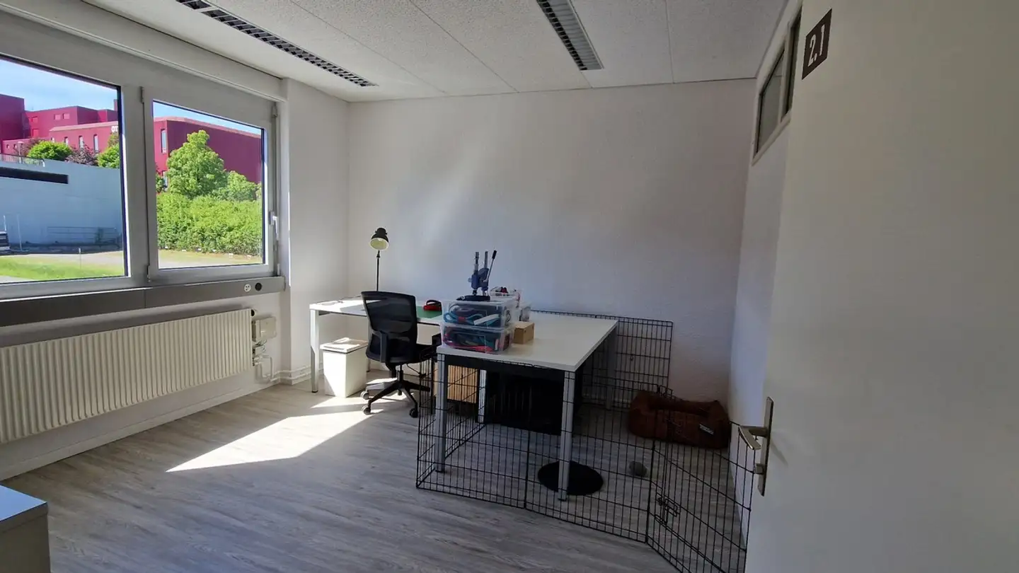 Commerciale in affitto - Wassergrabe 4, 6210 Sursee