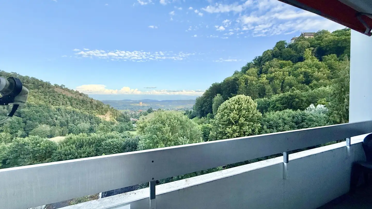 Apartment for sale - Neue Badstrasse 9, 4654 Lostorf
