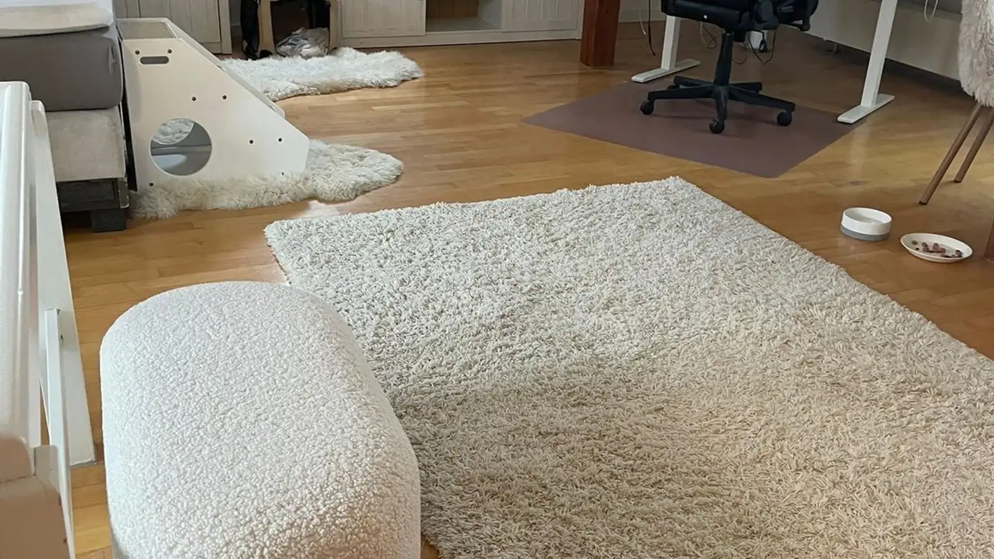 Wohnung mieten - Worbstrasse 234, 3073 Gümligen