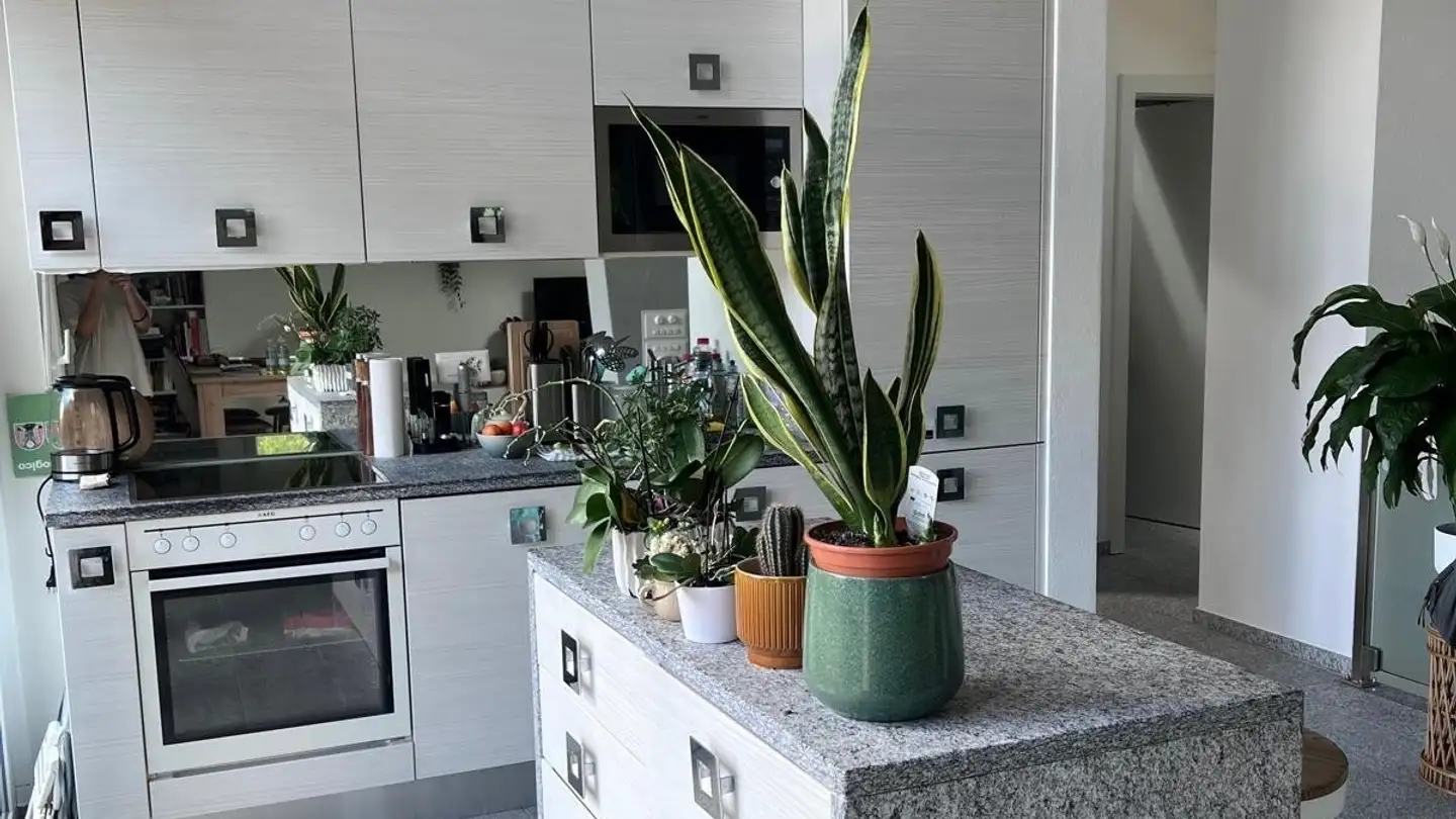 Appartement à louer - 6527 Lodrino - Photo 2