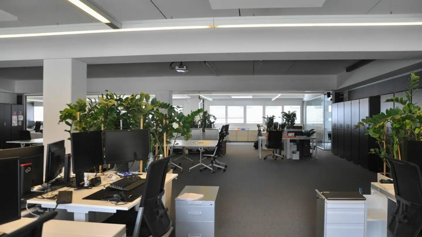 Grande magazzino in affitto - 6930 Bedano - Foto 4