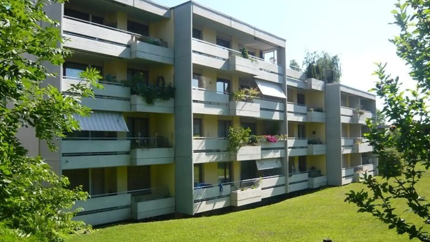 Appartement à louer - Frohbergstrasse 16, 8162 Steinmaur